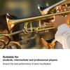 Trumpet Bright Brass Mouthpiece for Deformation Musical Instrument Brass Material Mouthpiece, Tone, Beginners, Resistant, Practice, Part, (3C)