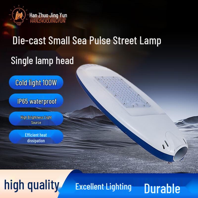 Dolphin Design Outdoor LED Street Light