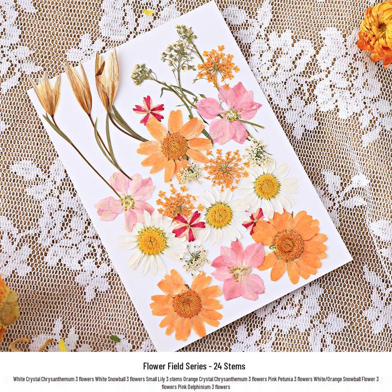 Nordic Simple Acrylic Photo Frame - 6-7 Inch DIY Dried Flower Pressed Specimen