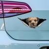 Border Terrier Car Stickers, Waterproof Pvc Animal Decals With 3D Effect, Block Scratches and Increase Fun Auto Parts