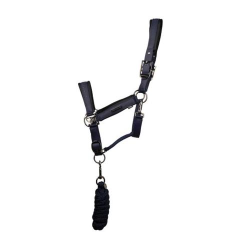 Coldstream Paxton Padded Head Collar & Lead Rope
