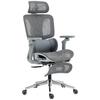 Office Chair, Ergonomic, 6D Armrests, Adjustable Headrest and Seat Depth, Grey Mesh