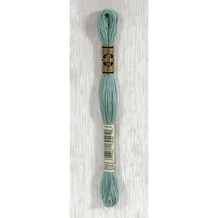 DMC Fil Mouliné 3816