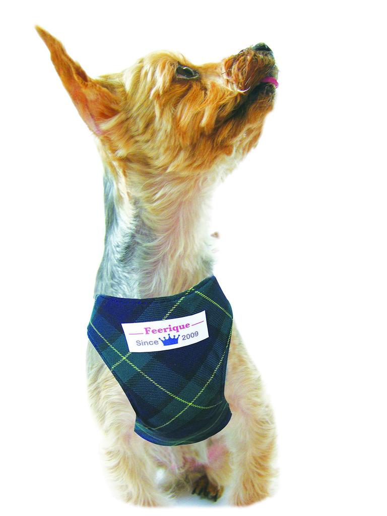 Ferryk Tartan Check Vest Size 3 Harness, Green,
