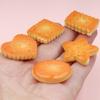 10/100pcs Kawaii Cookie Simulation Food Art Supply Flatback Cabochon DIY Dollhouse Craft Decoration Miniatures