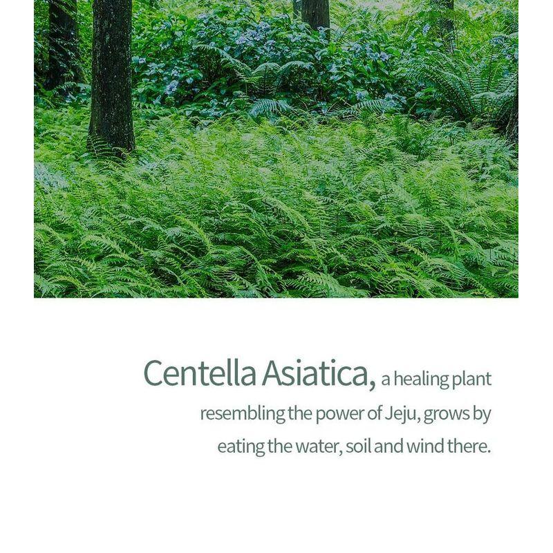 Pretty Skin - The Pure Jeju Cica 99 Mist