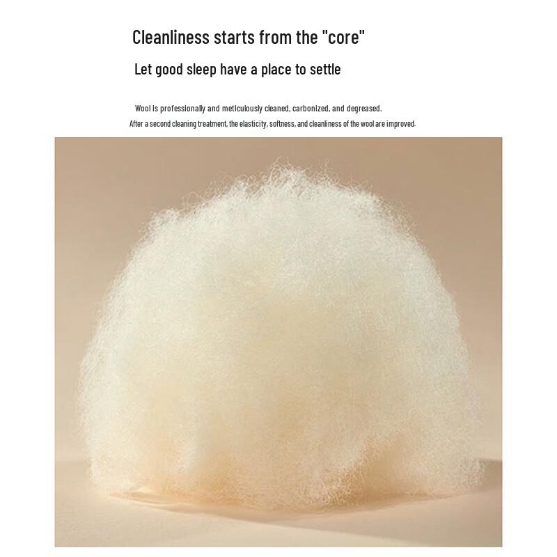 Mercury Soft Sleep Overture Antibacterial Silk Wool Blend 2-in-1 Comforter