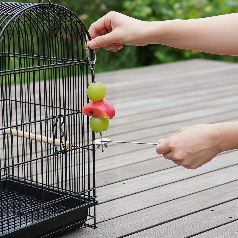 Durable Bird Cage Holder Stainless Steel Parrot Fork For Fruits And Vege
