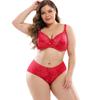 Plus Size Dessous-Set mit Bügel aus floraler Spitze, transparenter BH-Anzug, sexy EF-Cup, dünner Bralette, unsichtbarer BH