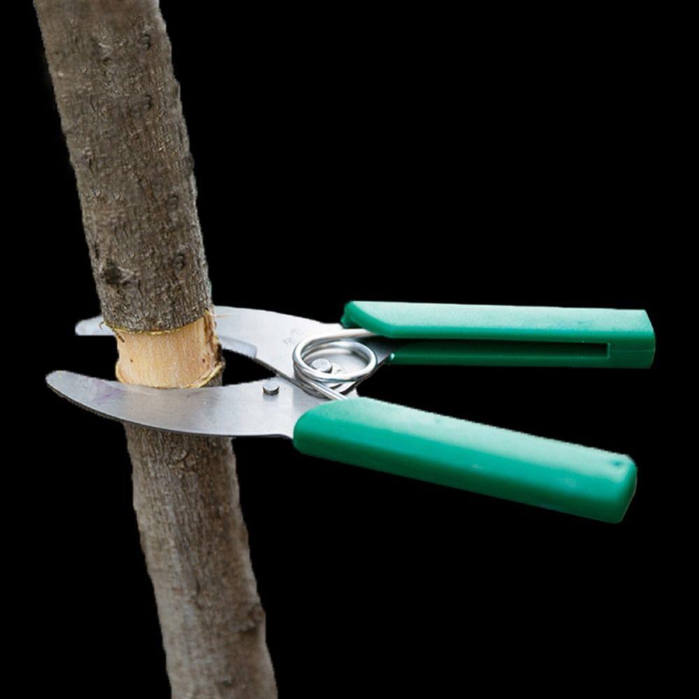 Купити Кільце з одним лезом Ножиці для лущення Міцний інструмент для ...