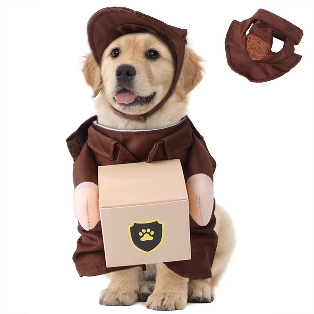 Pet Transformation Cat Funny Christmas Transformation Dog Clothes, Pet Funny Halloween Costumes