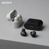 Sony WF-1000XM6 True Wireless Noise-Cancelling Earbuds