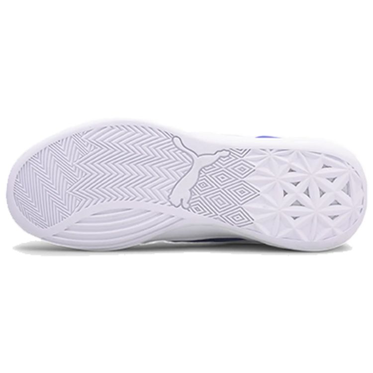 Puma Clyde Hardwood Team Strong Blue Unisex Sneakers White 194454-05