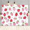 2D Plane 1 Piece of Strawberry-themed Background Banner Suitable for Events Birthdays and Celebration Occasions