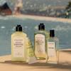 L'OCCITANE Verbena Perfumed Hand Cream 75mL Moisturizing