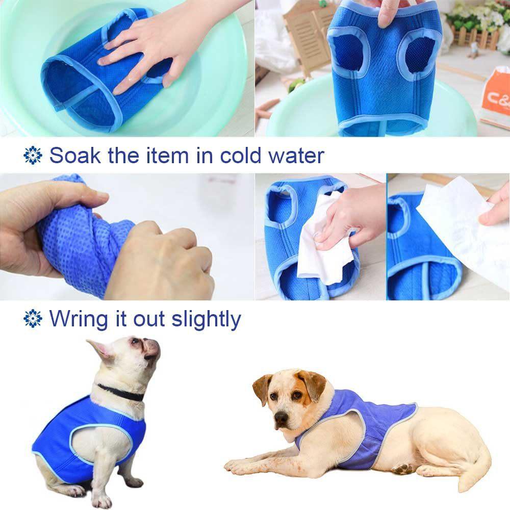 Pet Cooling Vest: Summer Ice-Feel Short Sleeve for Cats & Dogs, PVA Material