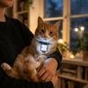 Waterproof LED Pet Collar Pendant USB Rechargeable Pet Safety Light  Pet Walking