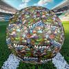Custom Name Personalized Plants Vs. Zombies Print Size 5 Soccer Ball Training & Match Football, for Team, Kicking, Gift for Football Enthusiasts
