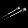Solar LED Outdoor Lawn Lamp: Garden Lighting with Stainless Steel and Glass Ground Stake.