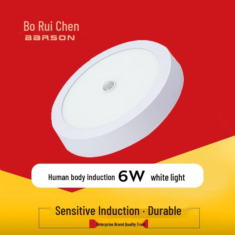 Bairaichen Infrared Motion Sensor LED Ceiling Light
