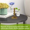 Clear Plant Propagation Stations Test Tube Hydroponic Rack with Stand Flower Planter Hydroponic Container Home Tabletop Decor