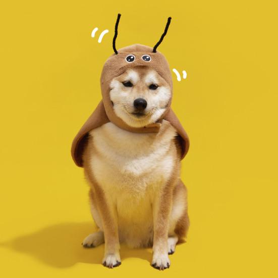 Cat Cockroach Cape Warm Velvet Cockroach Apparel with Antennae Pet Cosplay Accessory for Small And Medium Pets