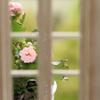 1: 12 Dollhouse Mini Door and Window Plain Wooden Material Model Accessories Can Be Painted and Colored