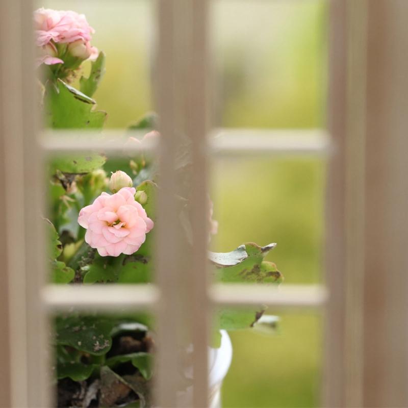 1: 12 Dollhouse Mini Door and Window Plain Wooden Material Model Accessories Can Be Painted and Colored