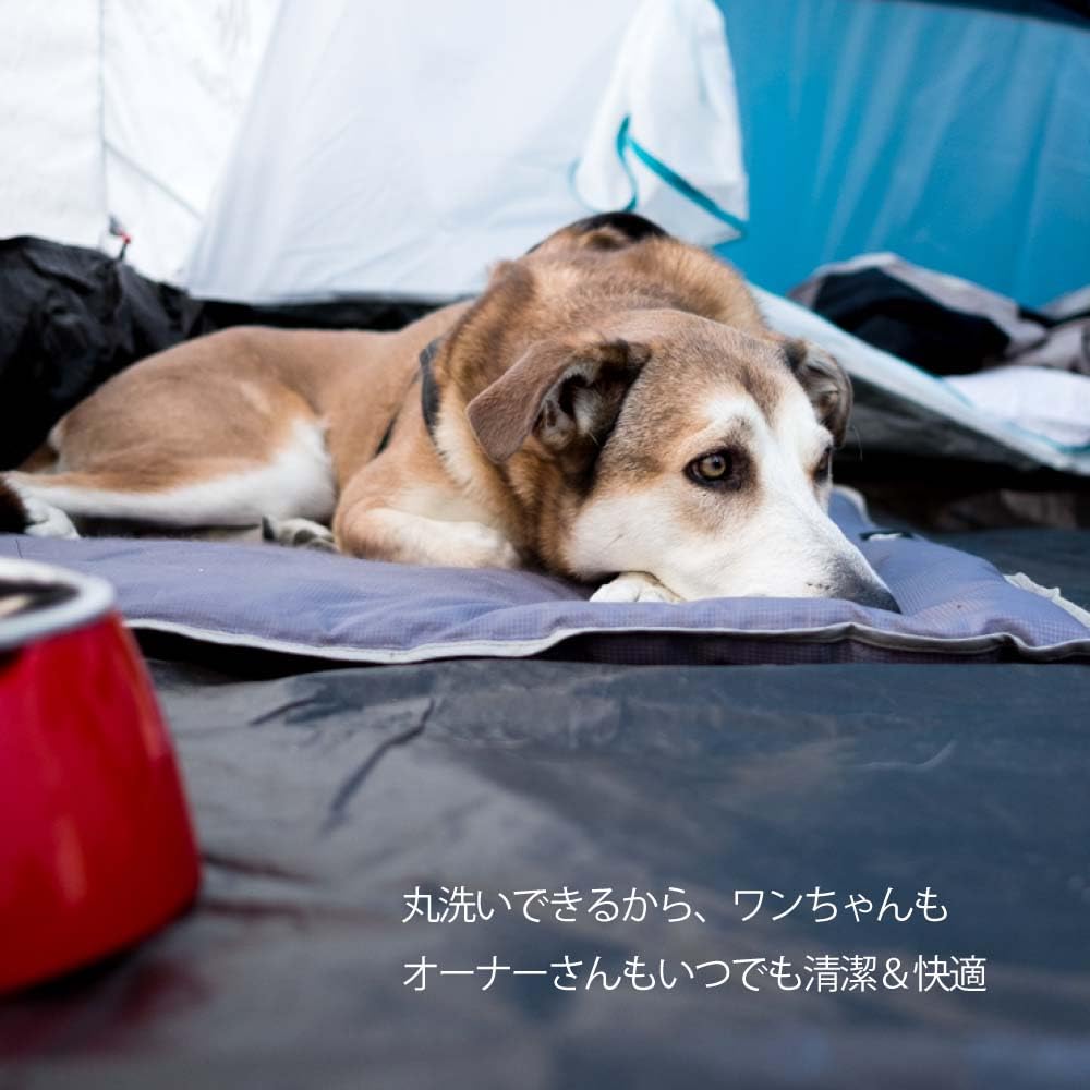 Jolly 110 Black Dog Bed House with Car Seat Water-Repellent