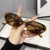 JYL Sunglasses Small Frame Uv Protection Driving Internet Famous Trendy CY5616
