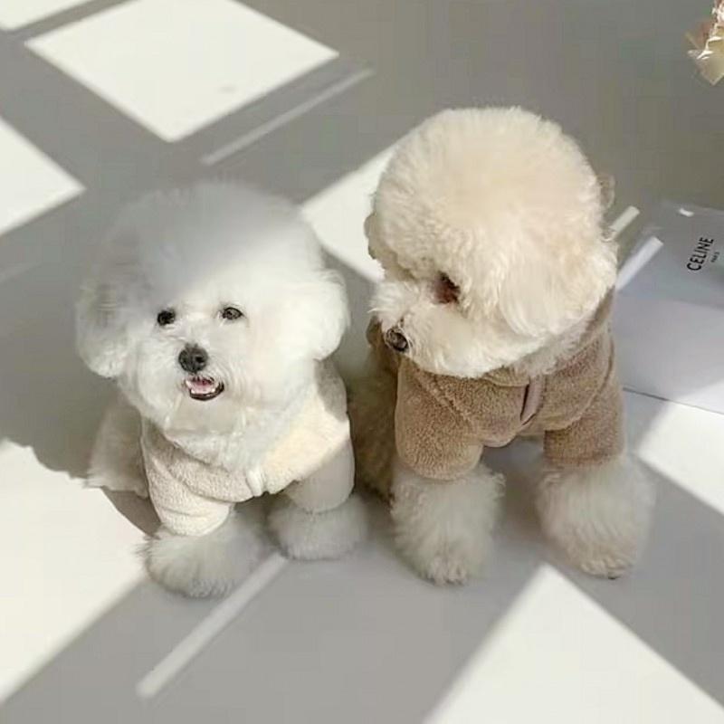 Winter Dog Clothes for Small Medium Dogs Hoodies Cute Print Puppy Sweatshirts Luxury Cat Hoodies Pet Pullovers Chihuahua Clothes