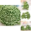 Adorable Big Eyes Turtle Plush Toy Uniquely Stuffed With Soft High Quality Plush