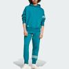 adidas Unisex Neu Classics Trefoil Hoodie Legacy Teal JF9140