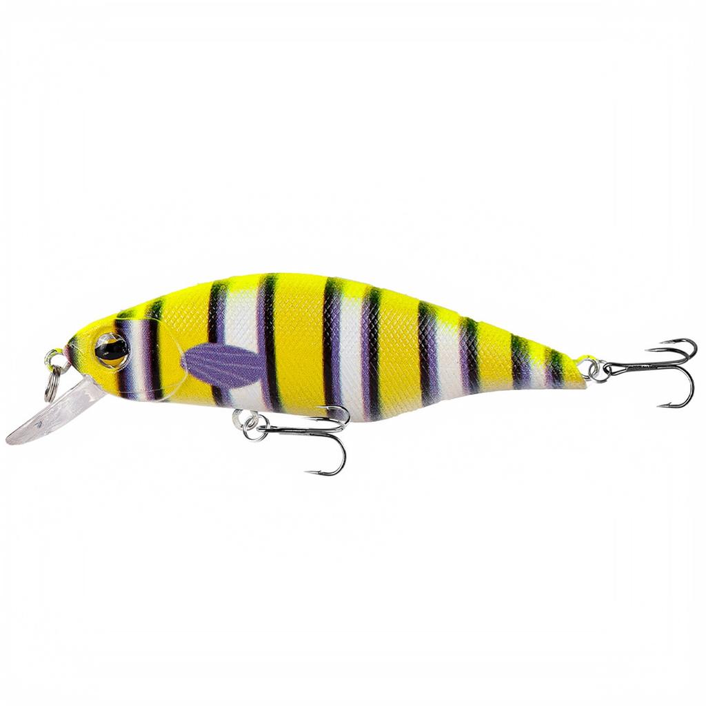 Floating Hard Plastic Crankbait for Fishing