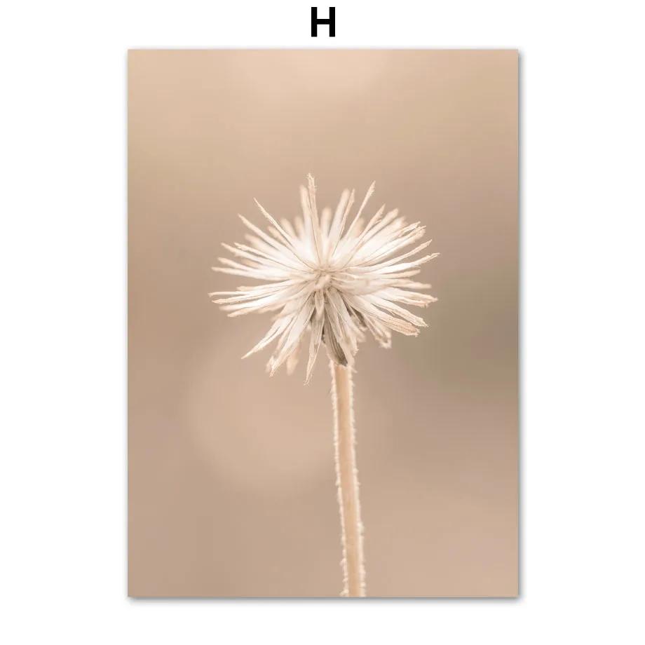 Beige Plant Grass Leaves Dandelion Reeds Posters And Prints Canvas Painting Nordic Wall Art Pictures For Living Room Home Decor