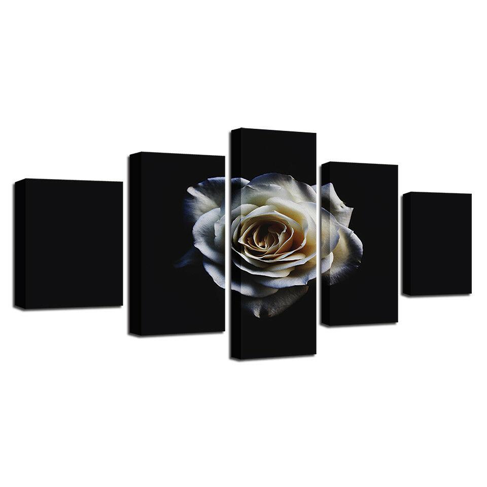 Bez ramy Biała róża kwiat czarne tło 5 szt. Druk na płótnie Obraz Sztuka ścienna Obraz na płótnie Dekoracja ścienna do salonu
