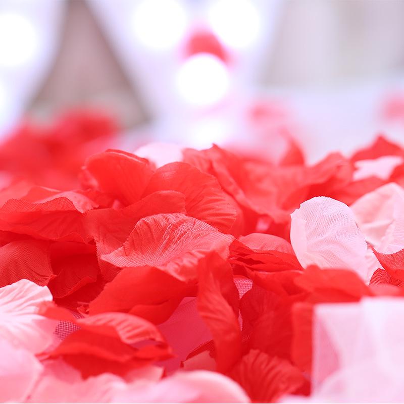 Romantische Rosenblattdekorationen für Hochzeiten, Heiratsanträge und Valentinstag