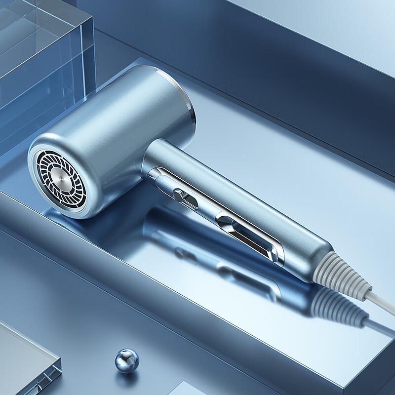 LISM Caesar High-Power Negative Ion Hair Dryer