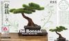 PLATZ The Bonsai II Plastic Model 1/12 BON-02
