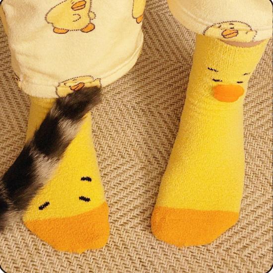 SHINee TAEMIN 2026 TAEMori Cozy Nest POP-UP Store Sleeping Socks
