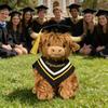Highland Cow Plush Toy - Cute Scottish Animal Simulation Doll