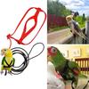 1Pcs Adjustable Parrot Training Harness Anti-Bite Flying Traction Rope Sturdy Strap for Outdoor Walking Flight