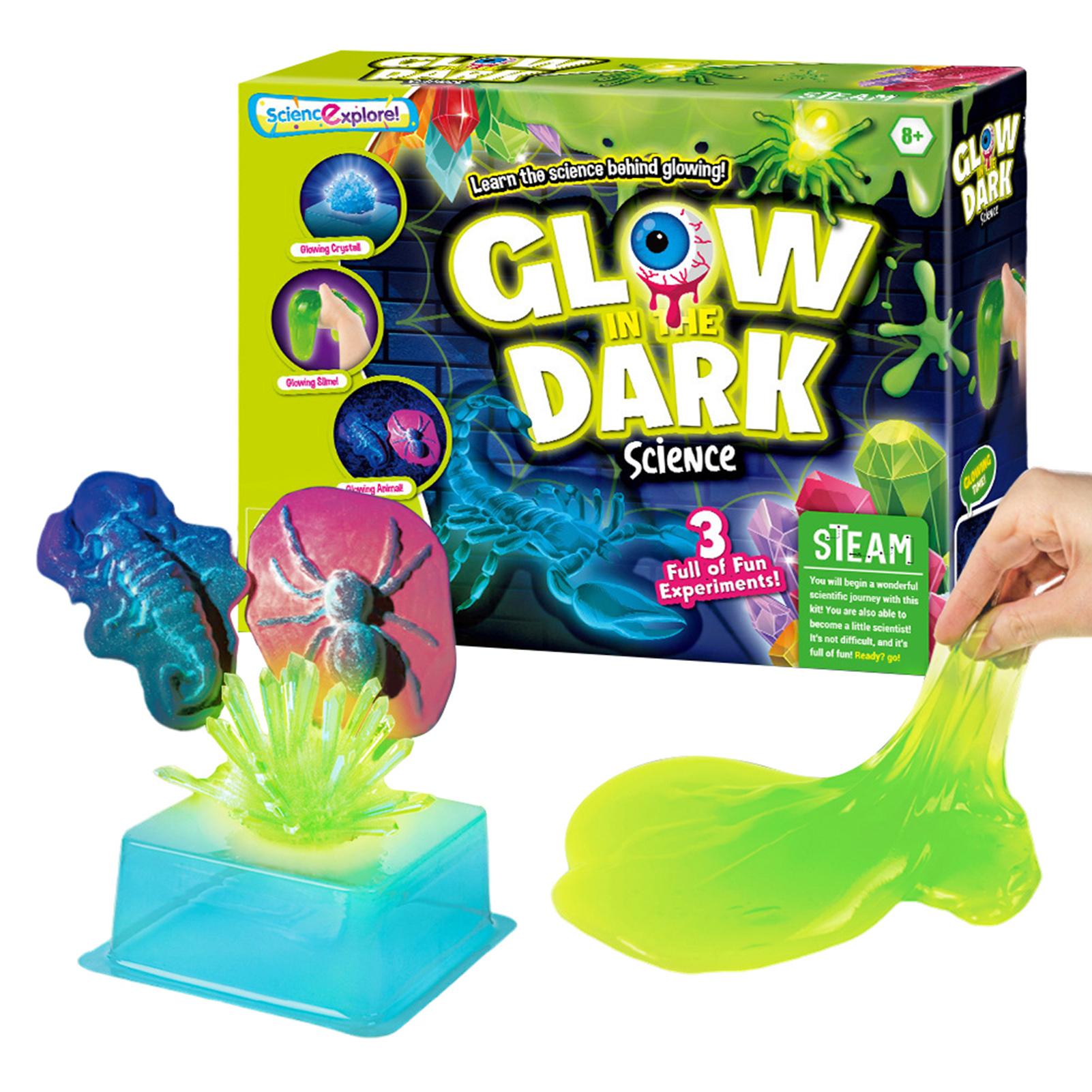 

Glow-in-the-Dark Science Set For Kids Funny Children s Educational Toys For Boys Girls