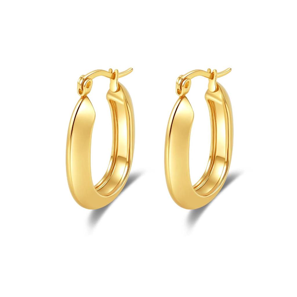 2025 Luxury Titanium Steel Earrings - No Fade, High-End Feel
