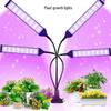 LED Plant Grow Light: 12V Clip-On Full Spectrum with Dimming & Timing for Seedling Sunlight Imitation
