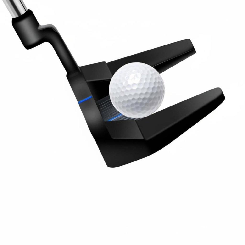 Putter Stainless Steel Shaft Blade Easy to Use for Practice, Beginners