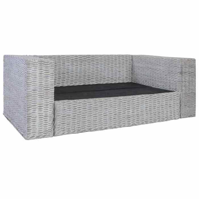 VidaXL Canapé à 2 Places avec Coussins Sofa Causeuse Meuble de Salon Maison Salle de Séjour Intérieur Bureau Chambre Rotin 283070