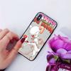 High Quality Phone TPU Case Cartoon TV Series Pinky and the Brain For iPhone 5 5S SE 2020 6 6s 7 8 Plus X XR XS MAX 11 11Pro Max