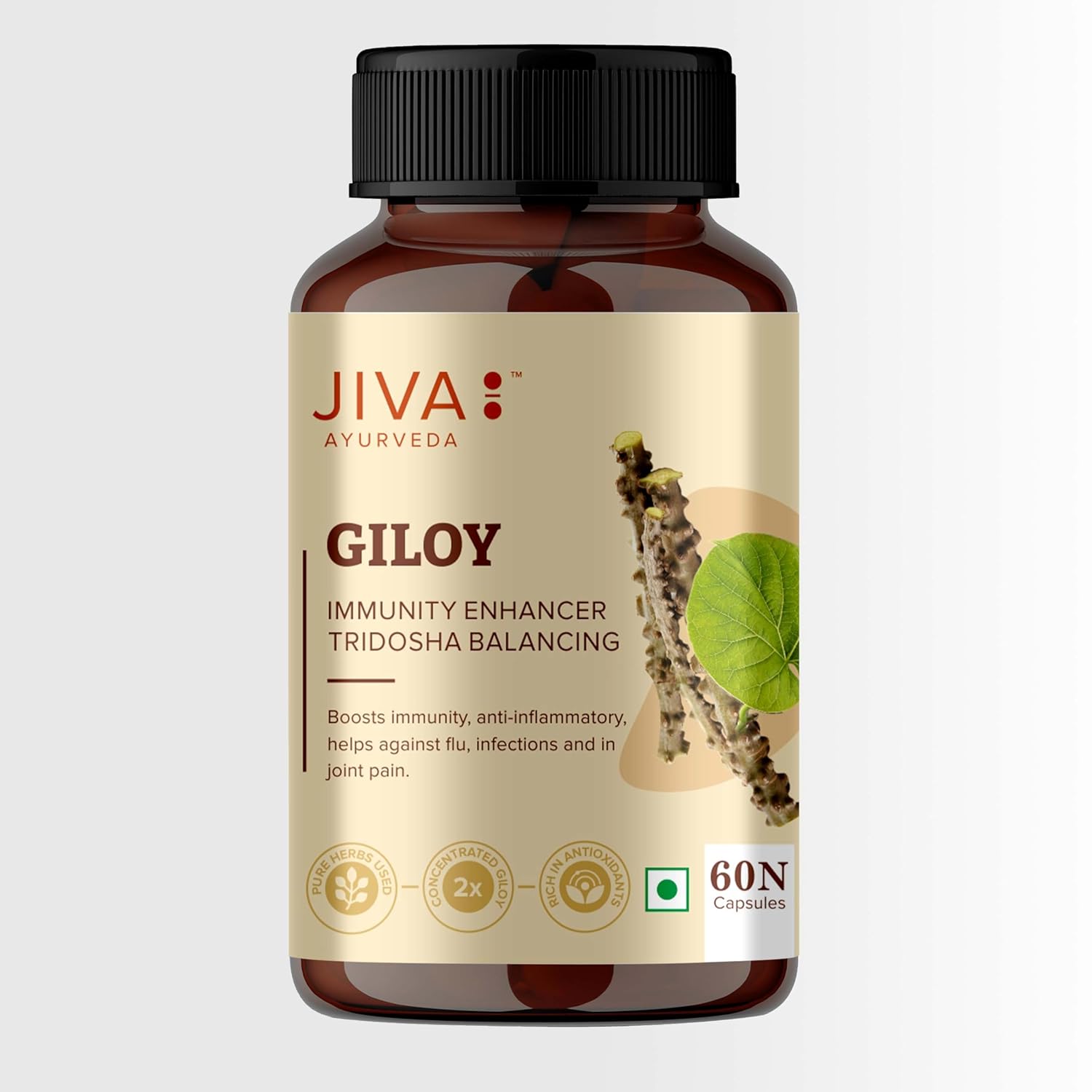 

Jiva Giloy Herbal Capsules 60 Count Pack | Natural Immunity Booster & Anti-Aging Supplement for Daily Wellness