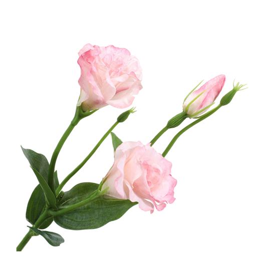 Искусственный цветок Платикодон крупноцветковый с 2 головками цветов и 1 бутоном, искусственный шелковый цветок со стеблем и листьями для свадебной вечеринки, кухни, спальни, детской